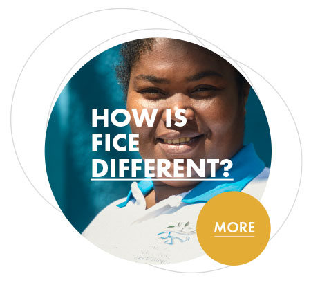 How is FICE different