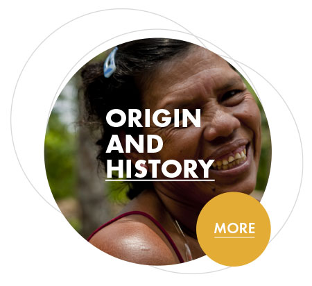 Origin and History