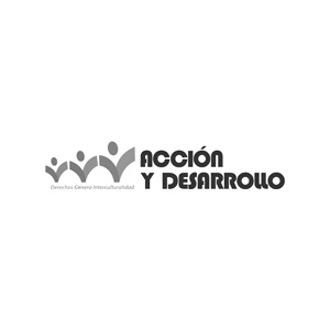 Logo Accion y Desarrollo