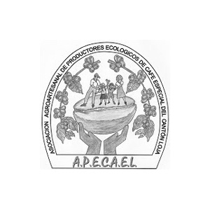 Logo Apecael