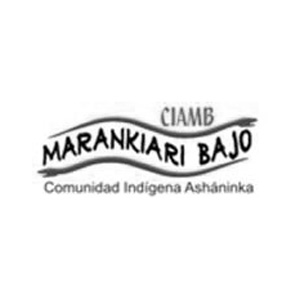 Logo Ciamb
