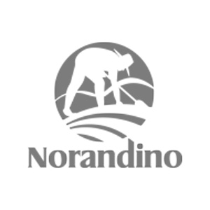 Logo Norandino