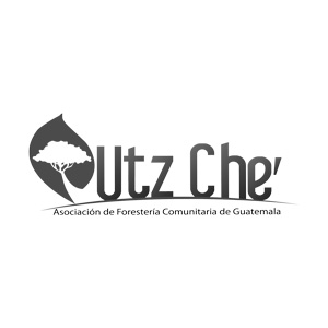 Logo Utzche