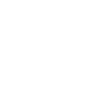 FICE Logo
